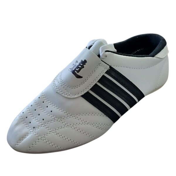 Zapatilla artes marciales